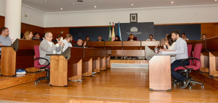 El pleno municipal aprueba por unanimidad reivindicar la conexin ferroviaria de Motril con Granada